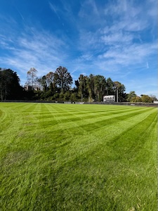 lawn-pic-1