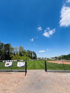 lawn-pic-4