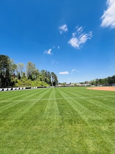lawn-pic-5