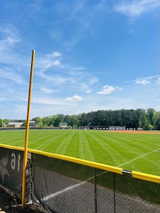 lawn-pic-6